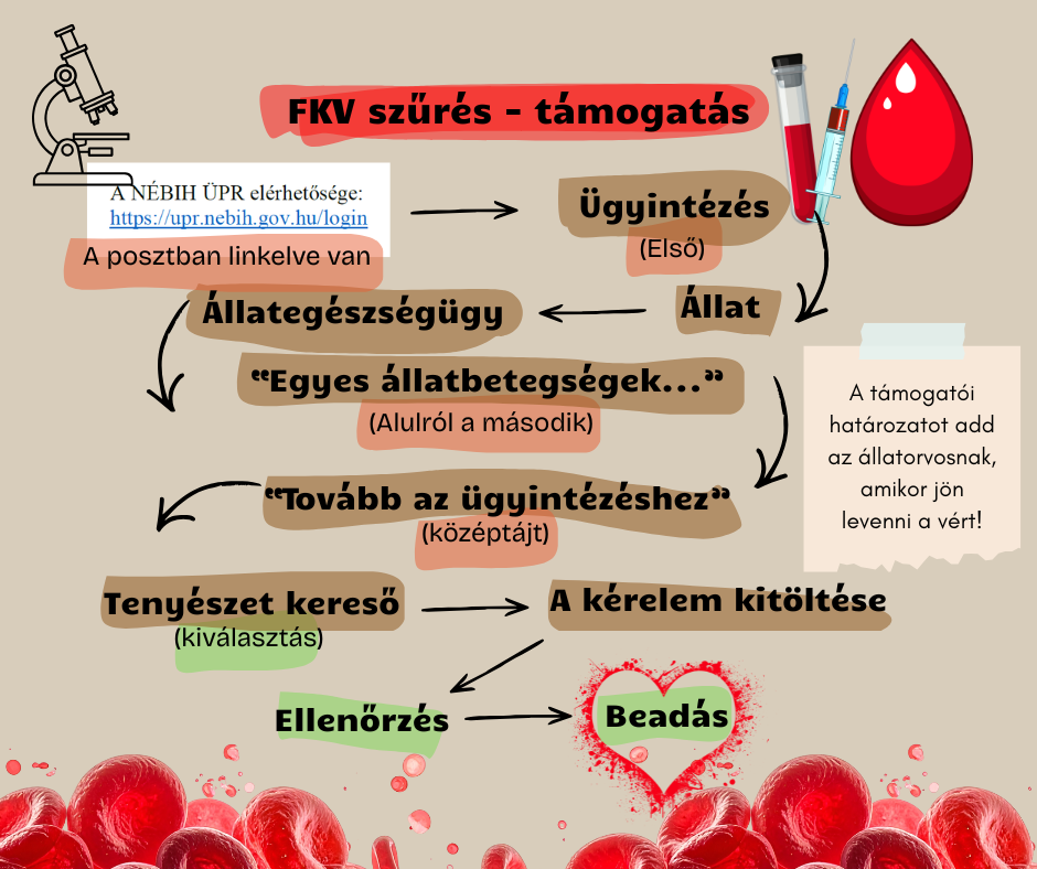 fkv_tamogatas.png