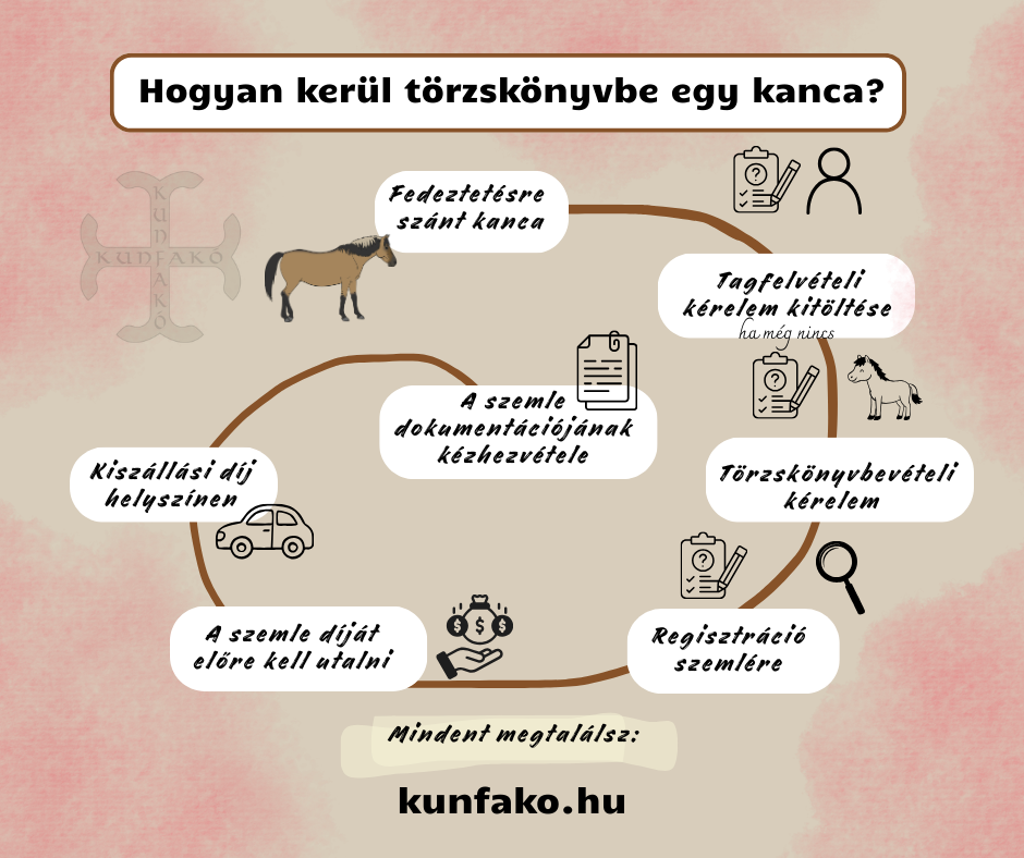 kanca_torzskonyvbe.png