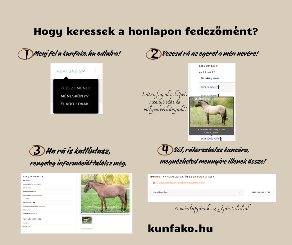 ment_a_kancanak.png