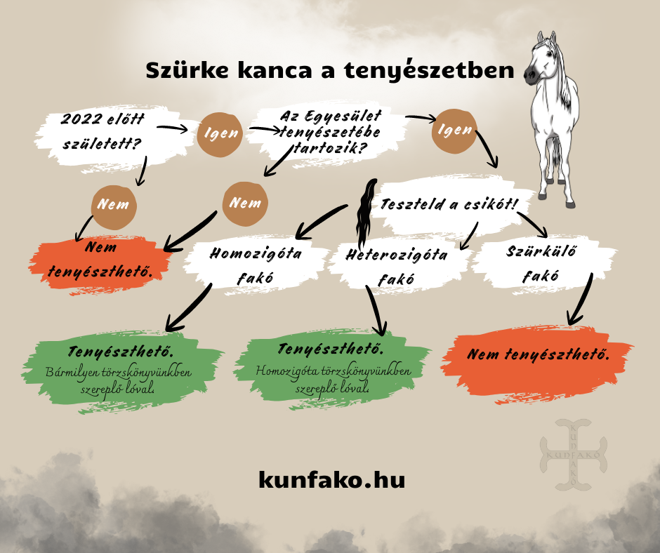 szurke_kanca.png