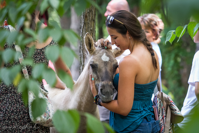 2017 Kunfakó Ünnep