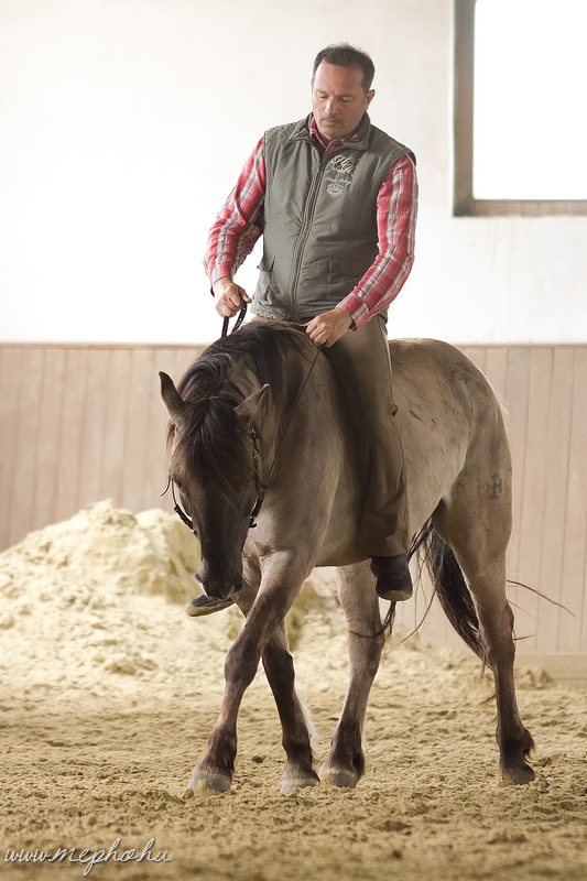 2015 Kunfakók Kajászón - Dr. Boór-Gőblyös Istvánnal