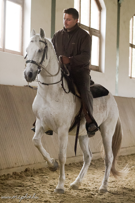 2015 Kunfakók Kajászón - Dr. Boór-Gőblyös Istvánnal