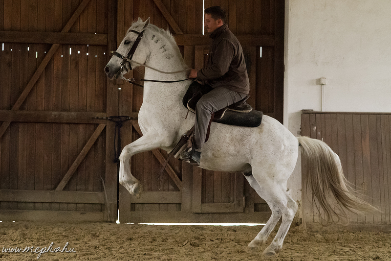 2015 Kunfakók Kajászón - Dr. Boór-Gőblyös Istvánnal