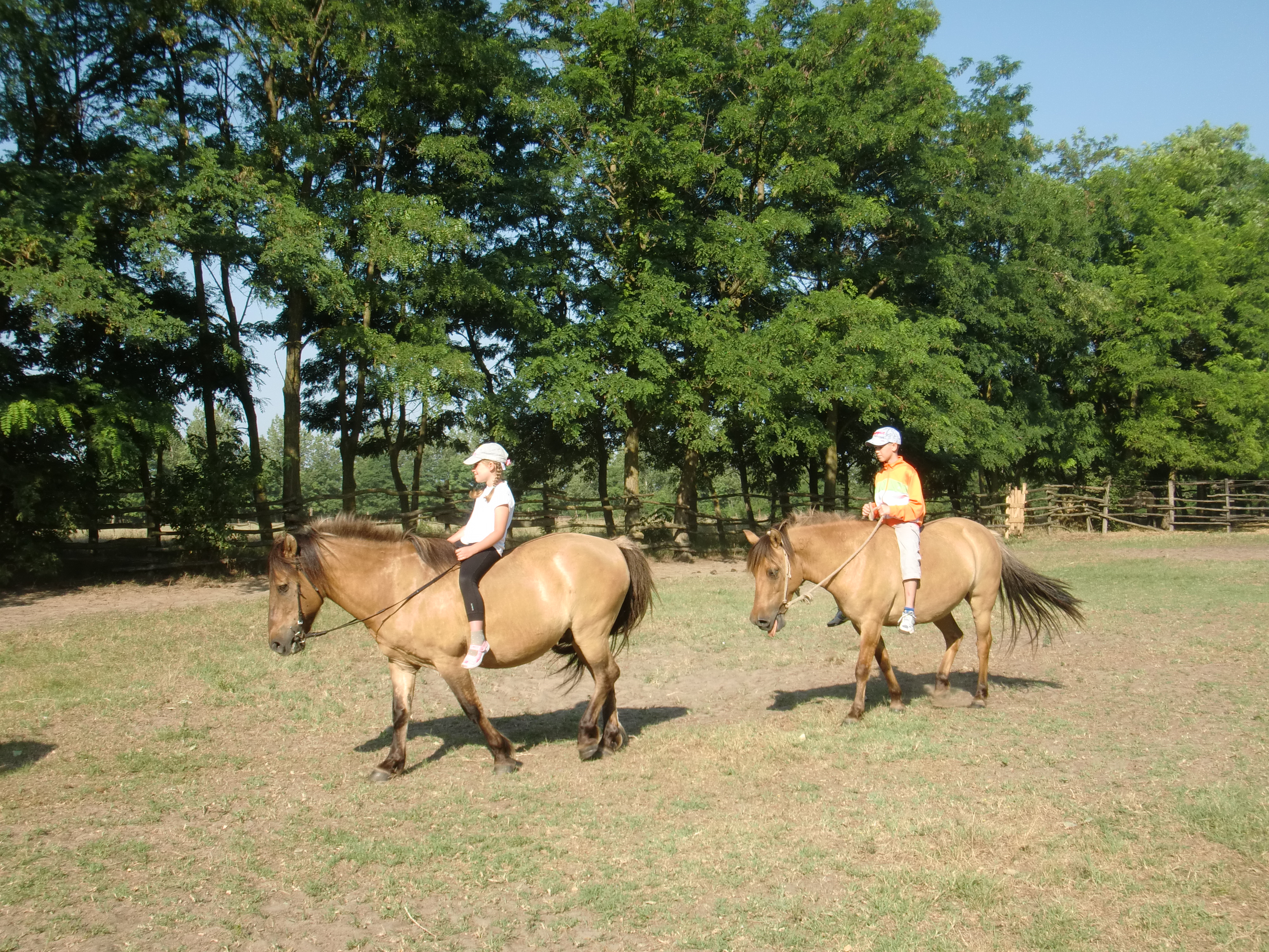 2013 Nyár