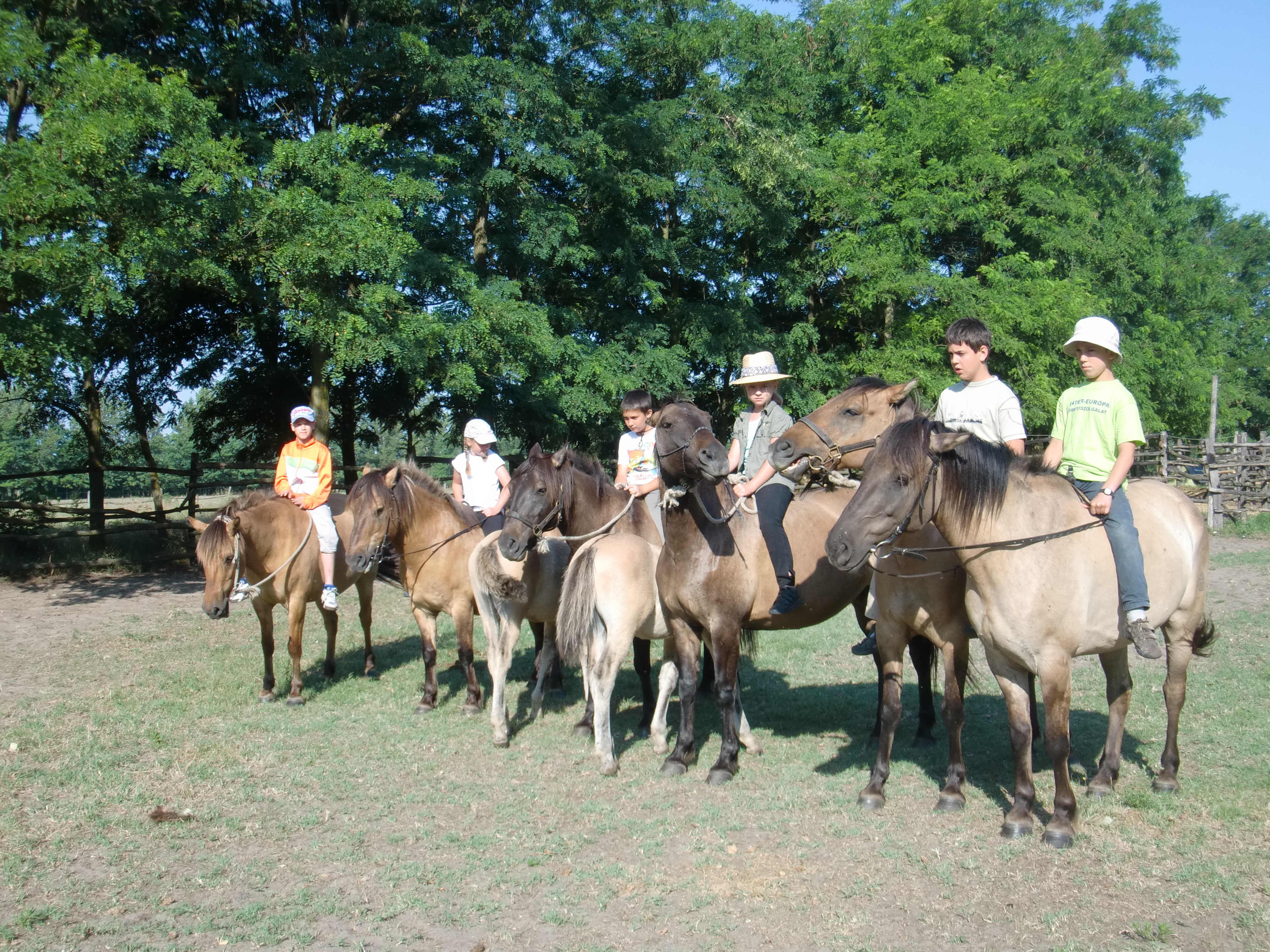 2013 Nyár