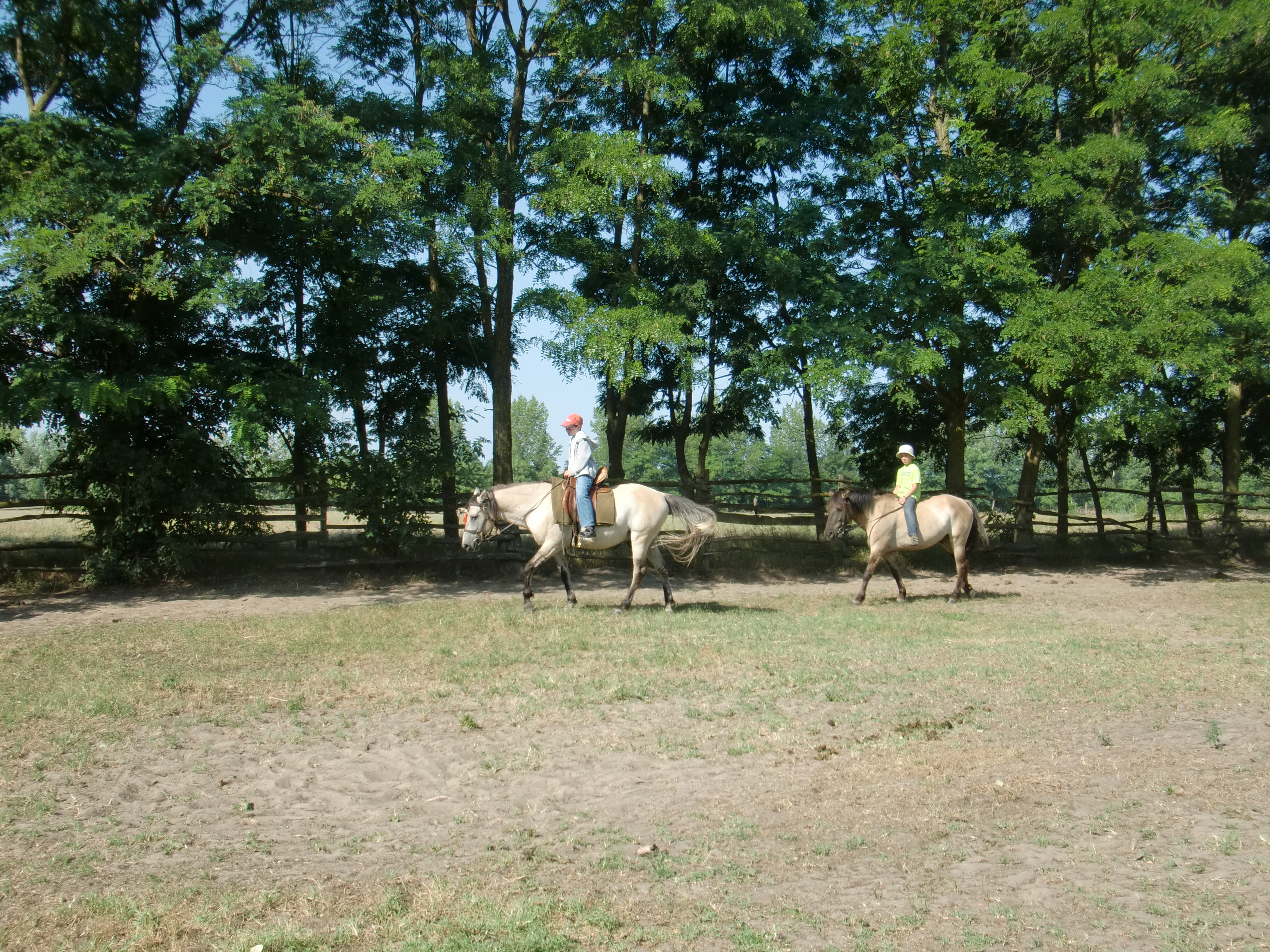 2013 Nyár