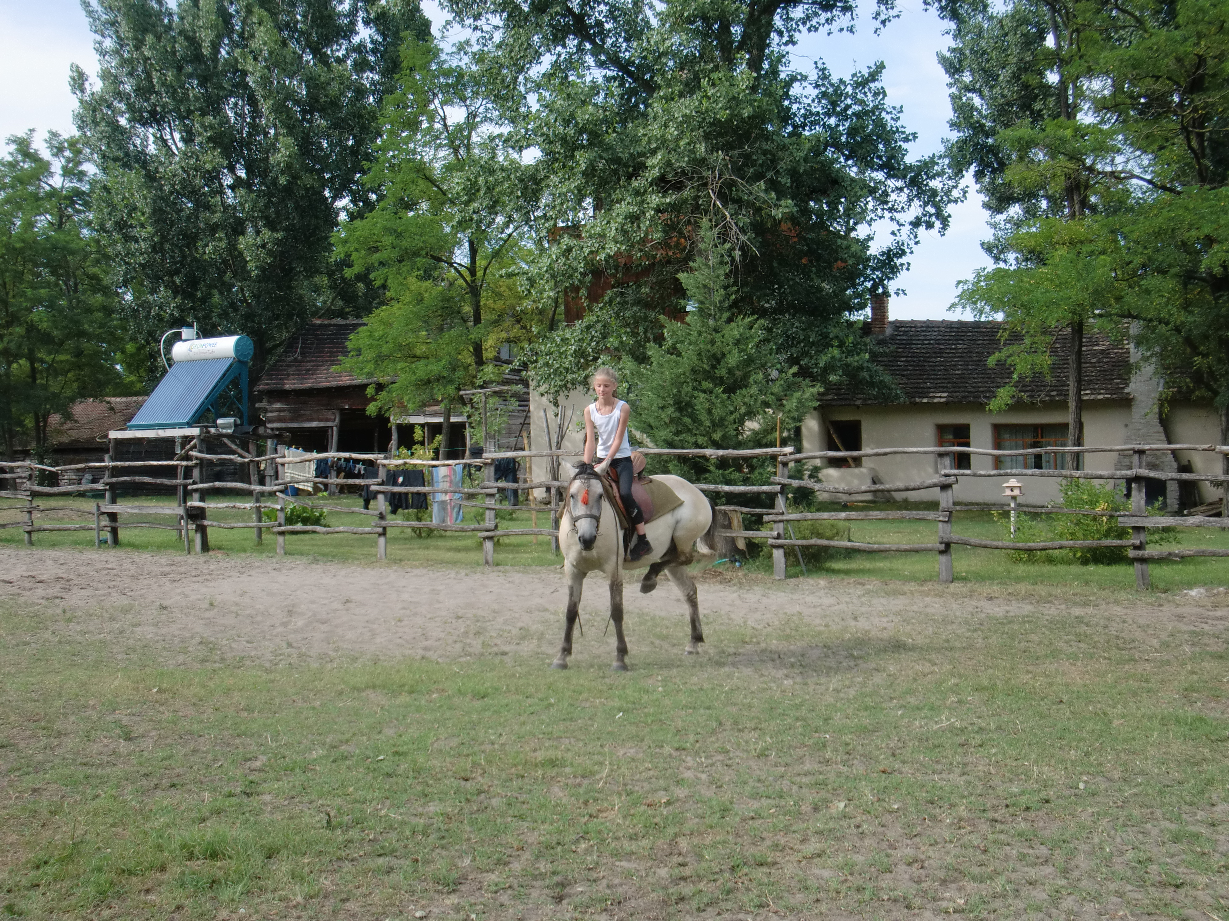 2013 Nyár