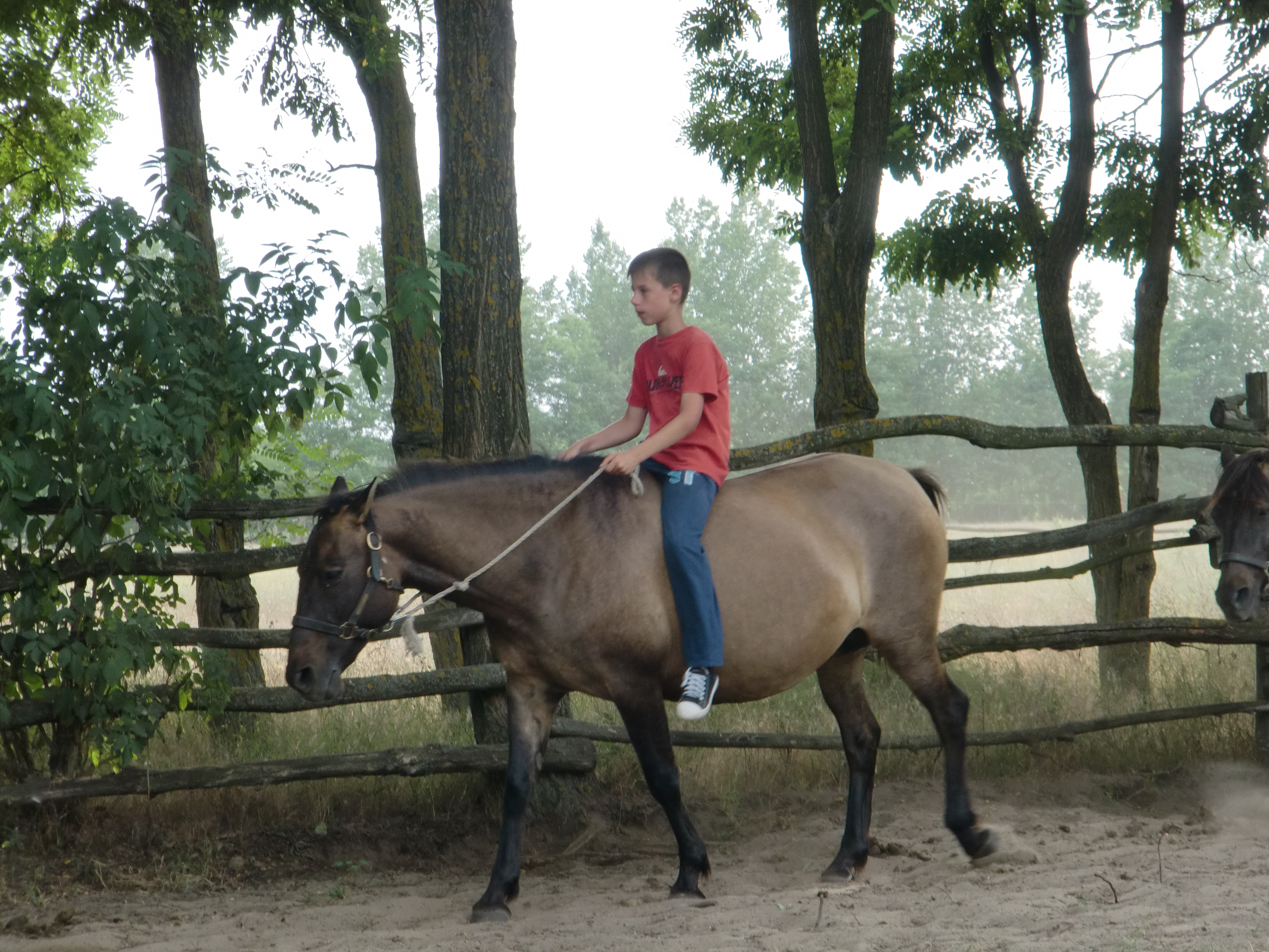 2013 Nyár