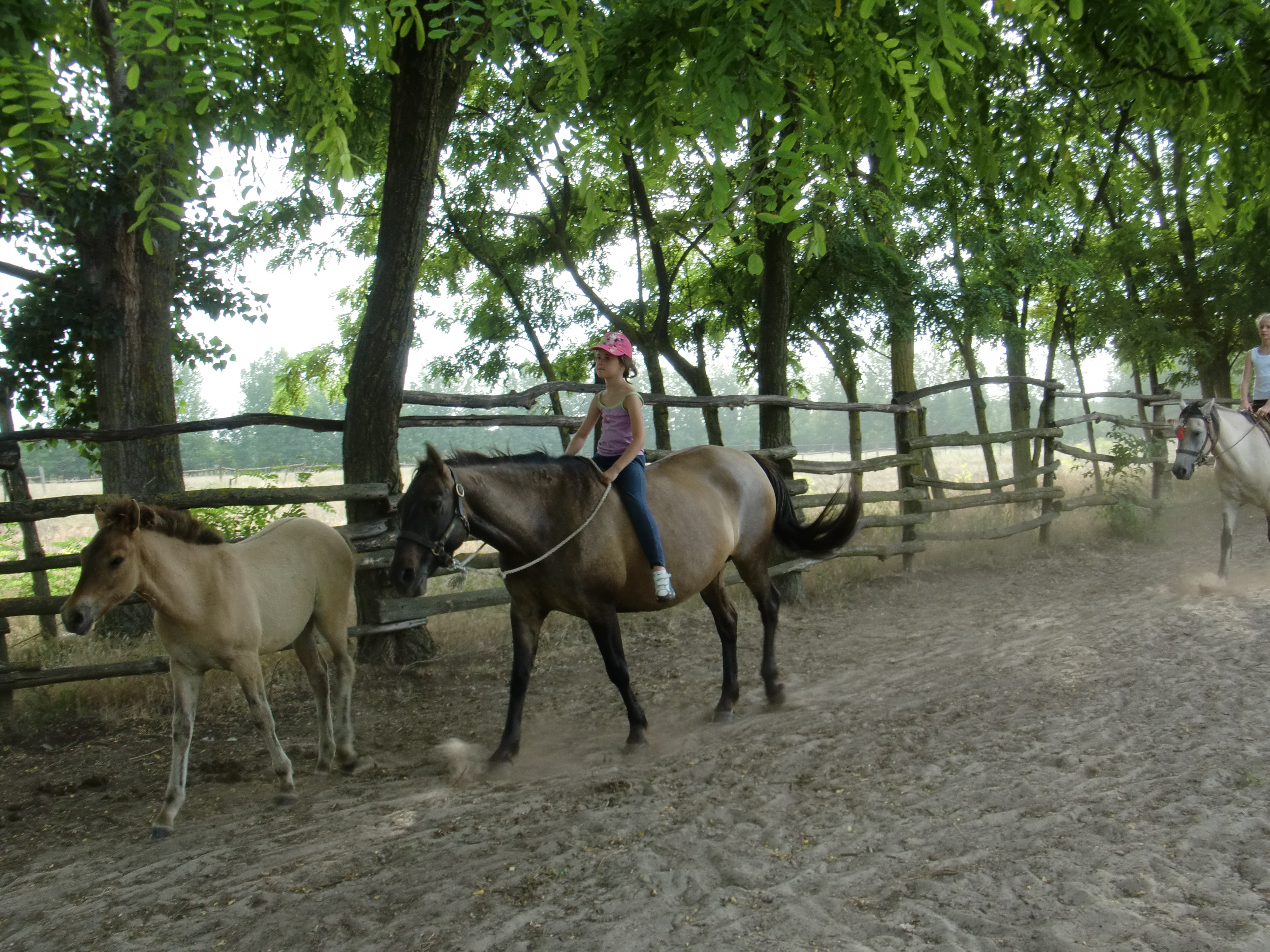 2013 Nyár
