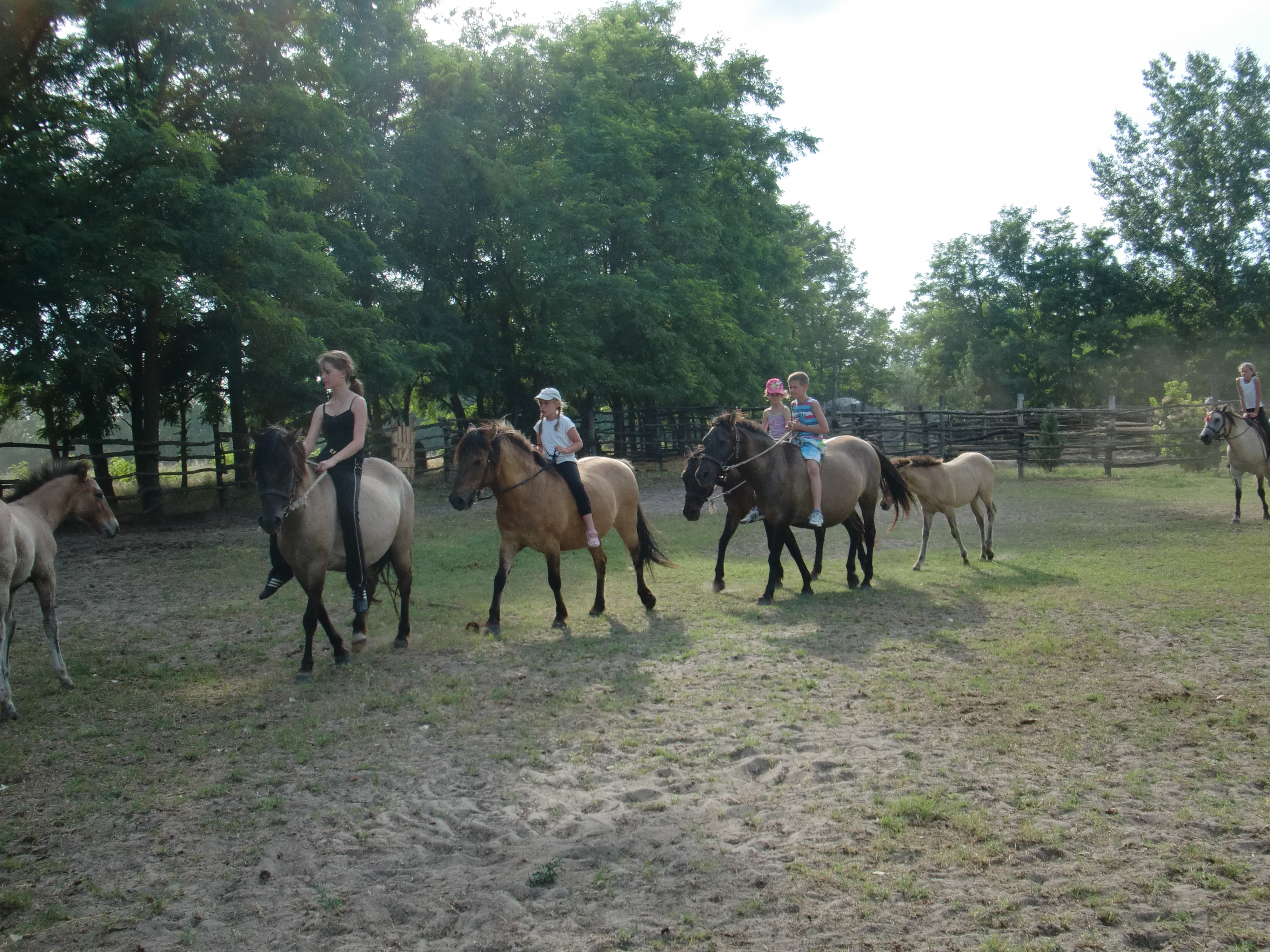 2013 Nyár