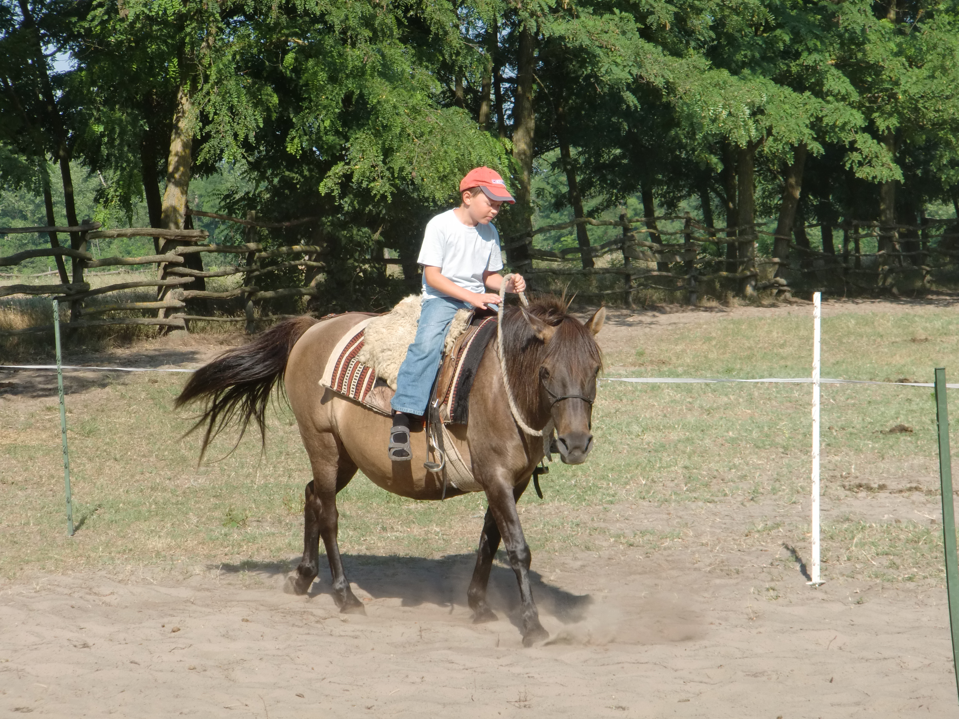 2013 Nyár
