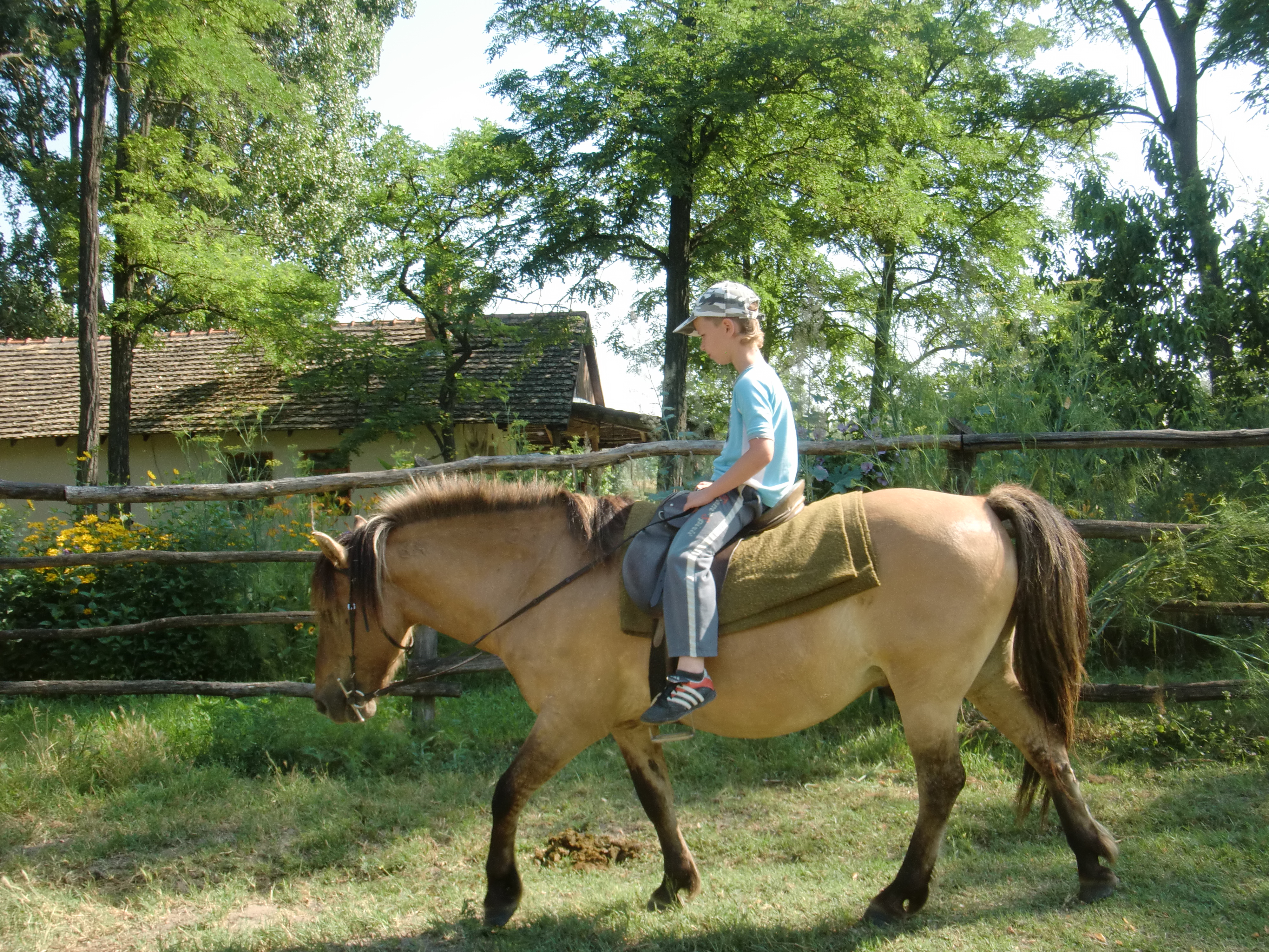 2013 Nyár