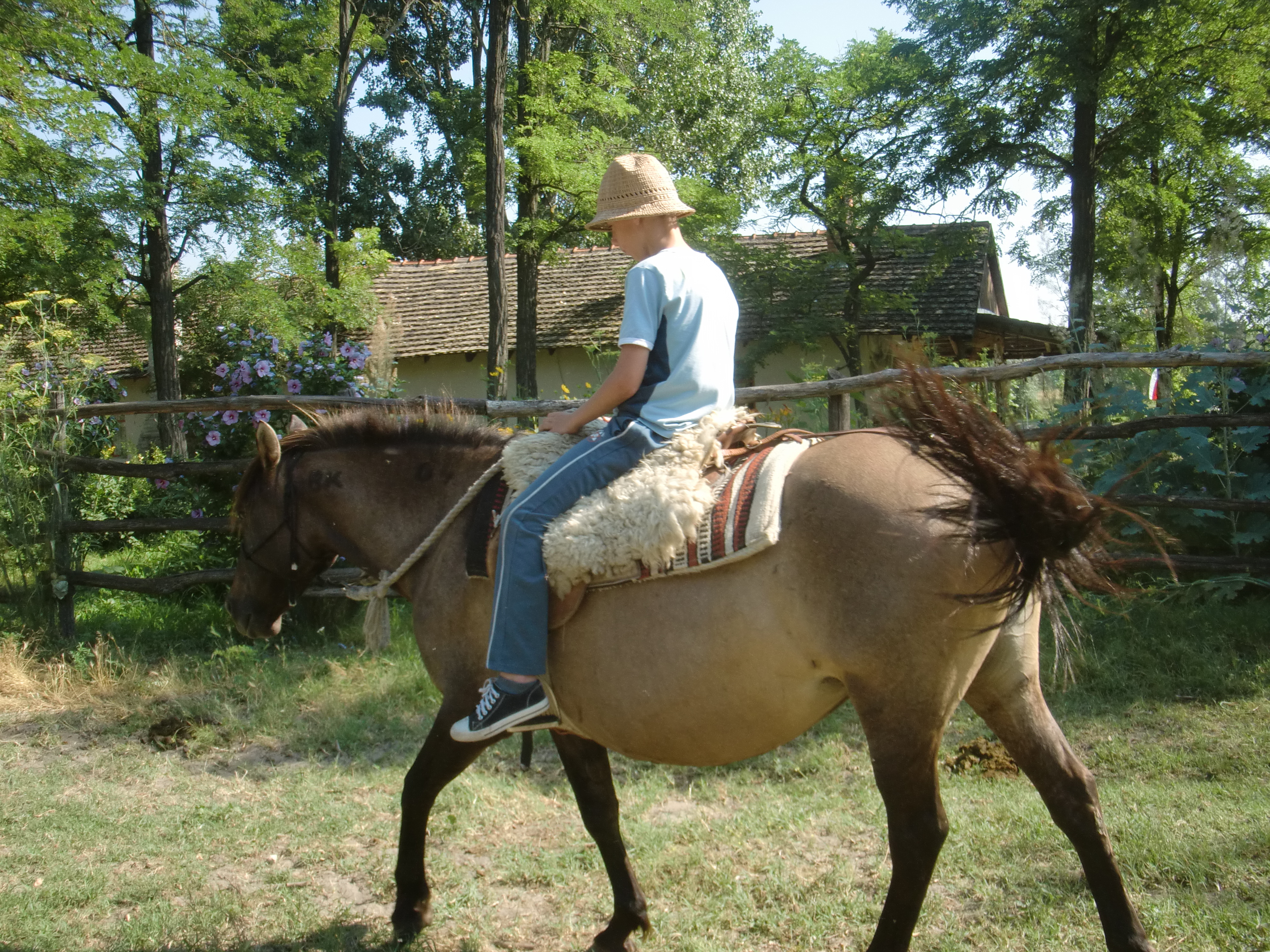 2013 Nyár