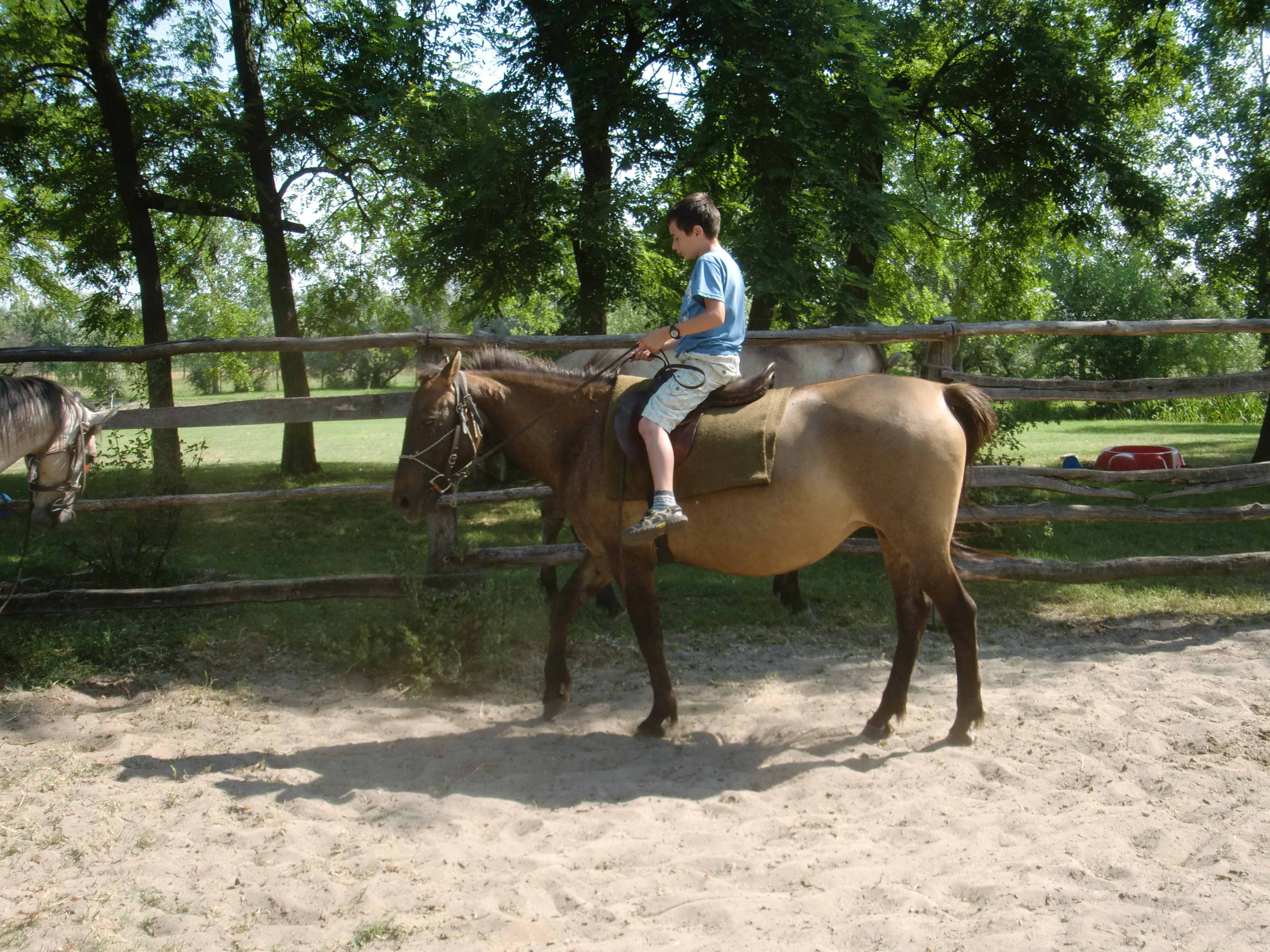 2013 Nyár