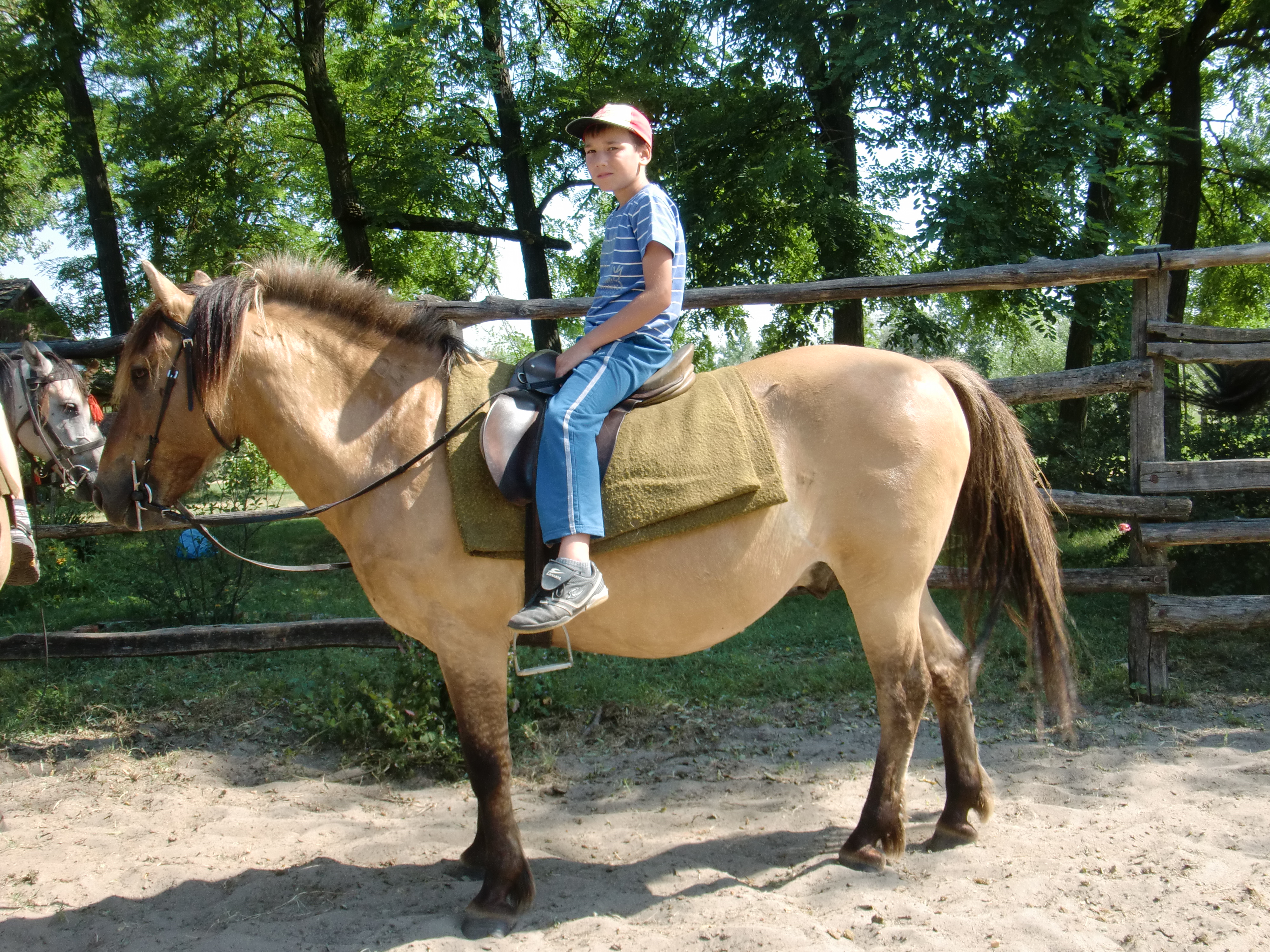 2013 Nyár