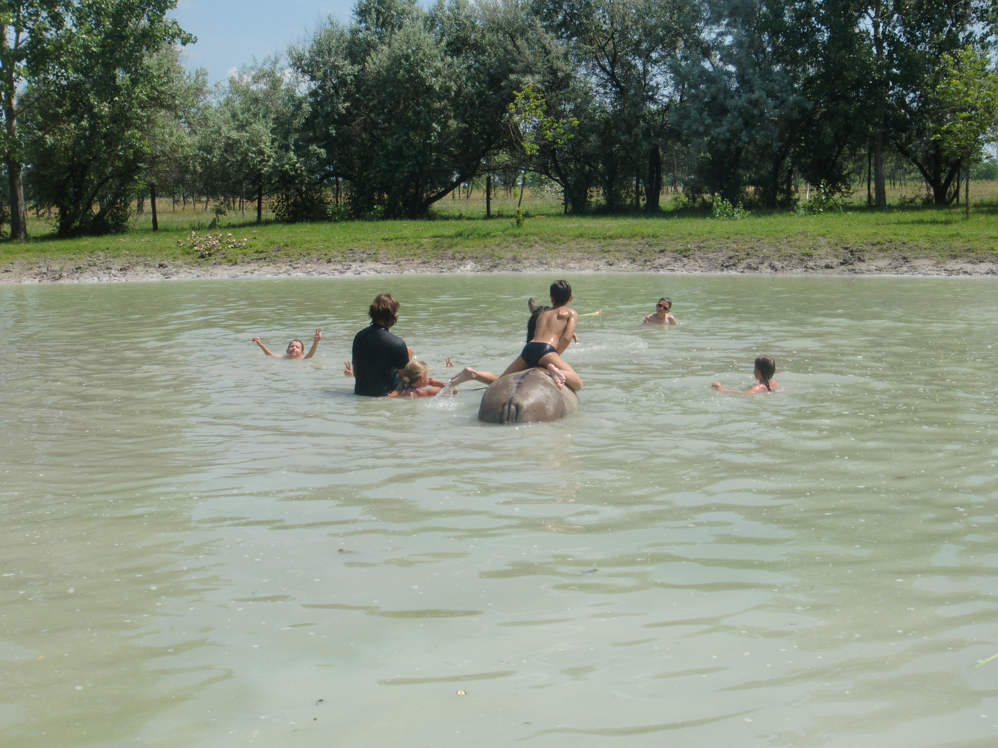 2013 Nyár