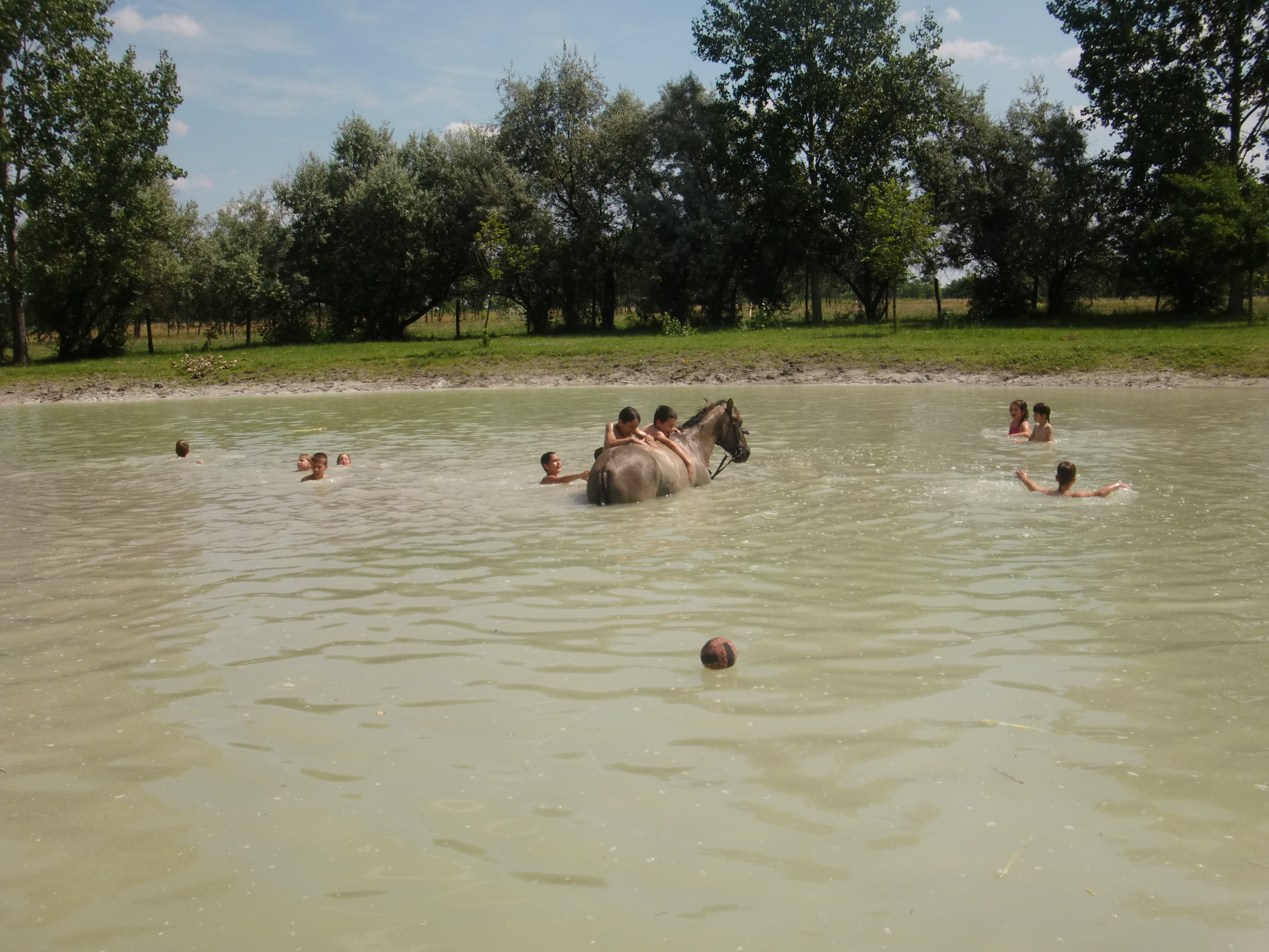 2013 Nyár