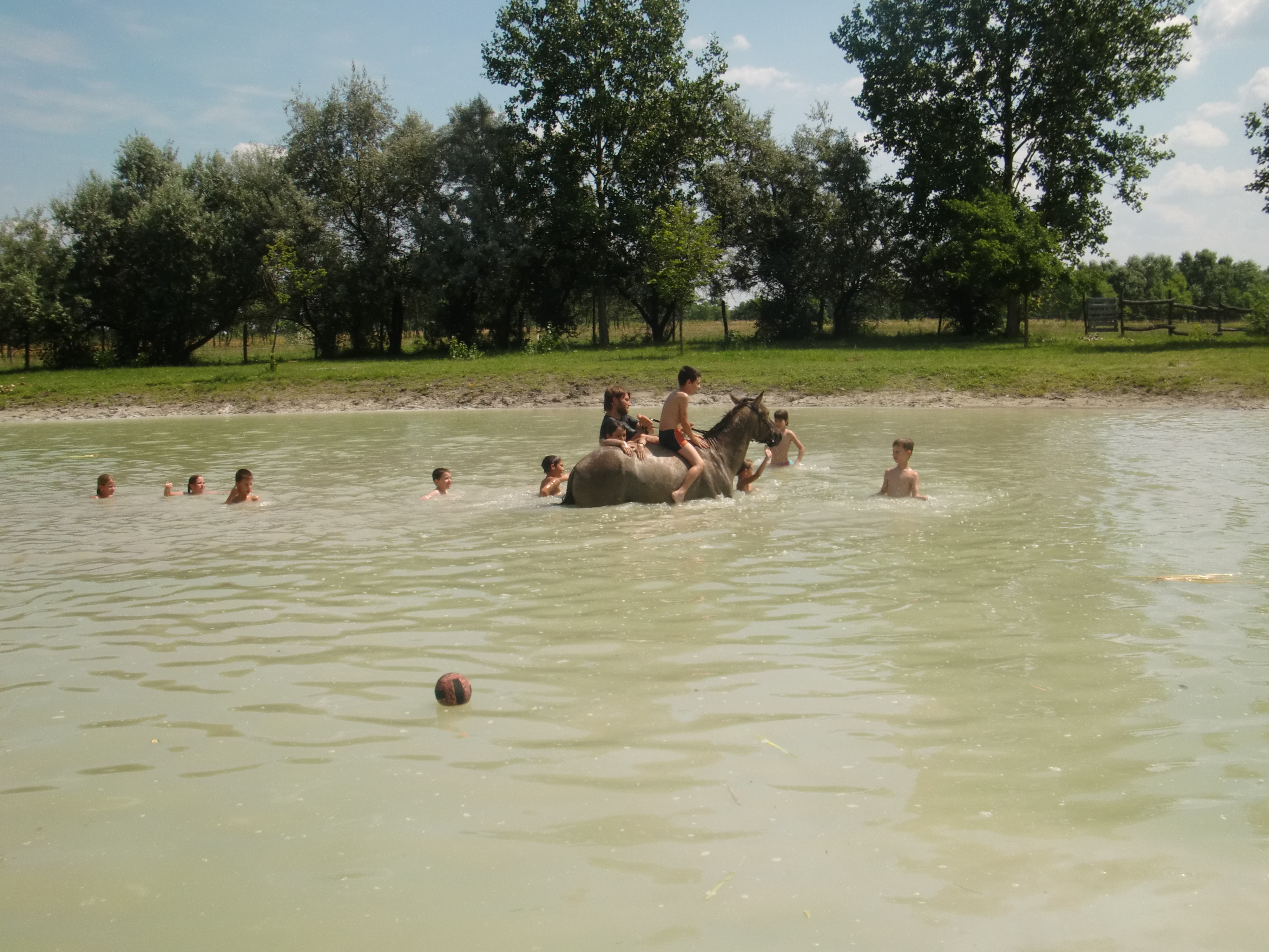 2013 Nyár