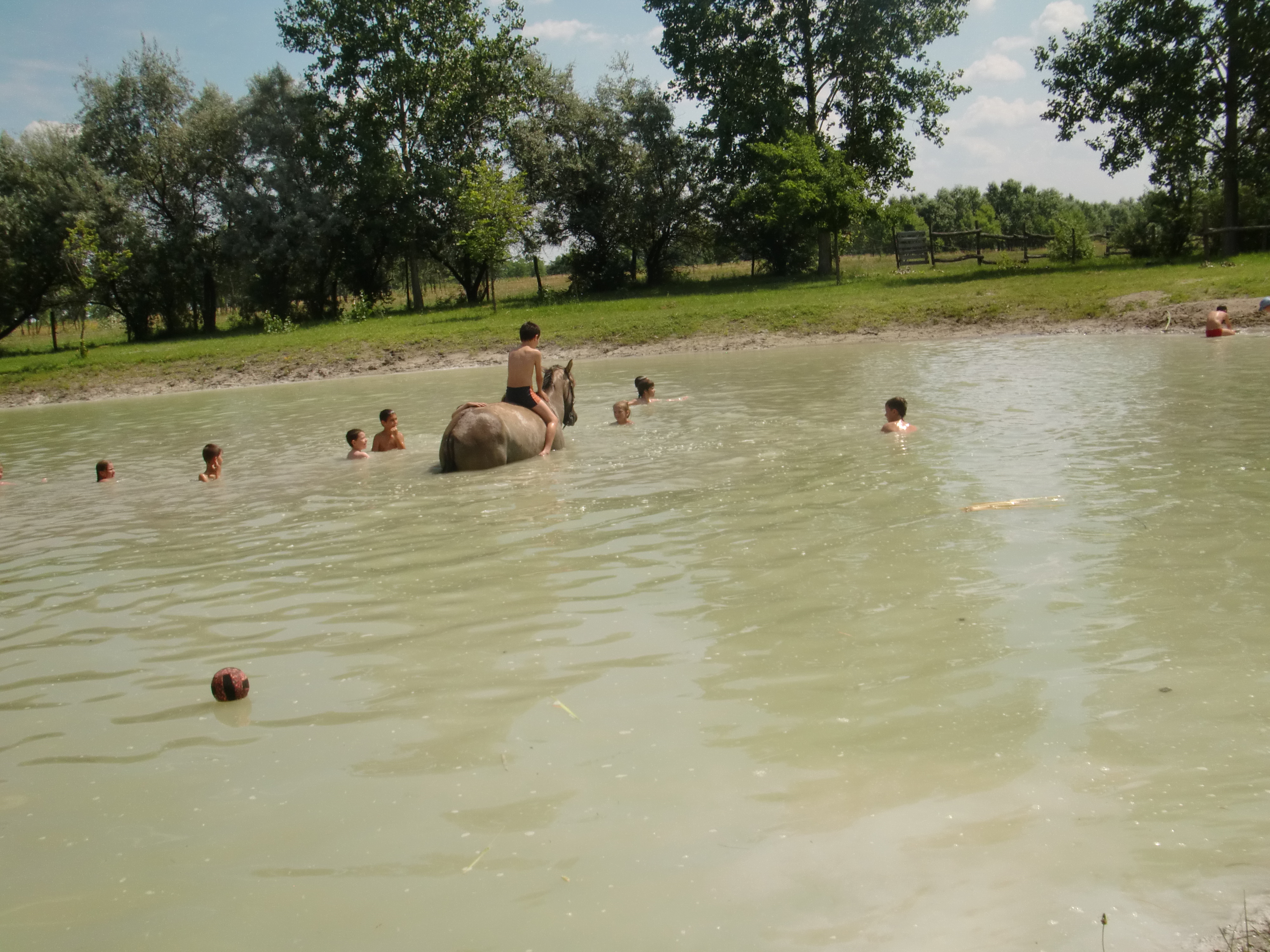 2013 Nyár
