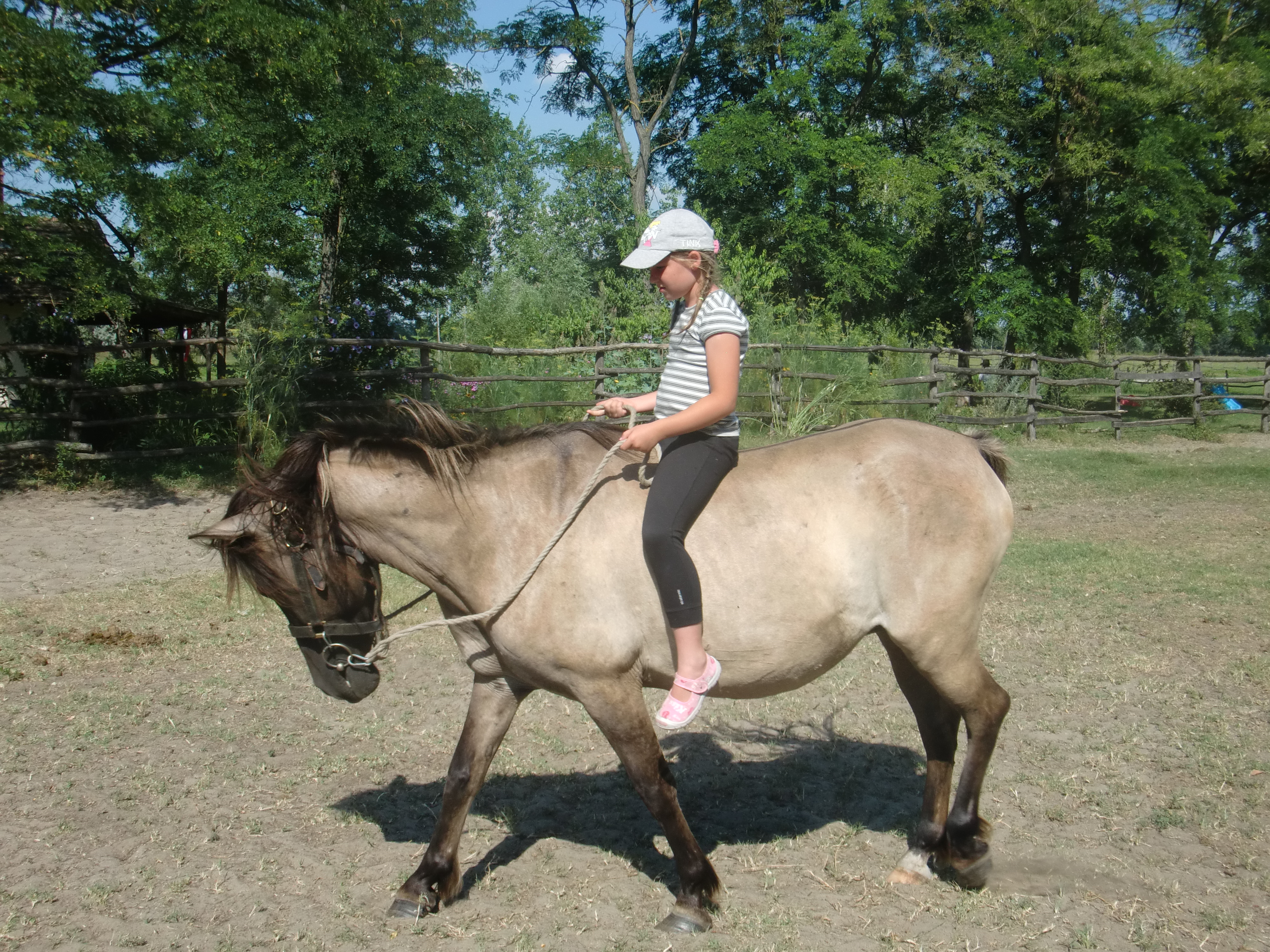 2013 Nyár