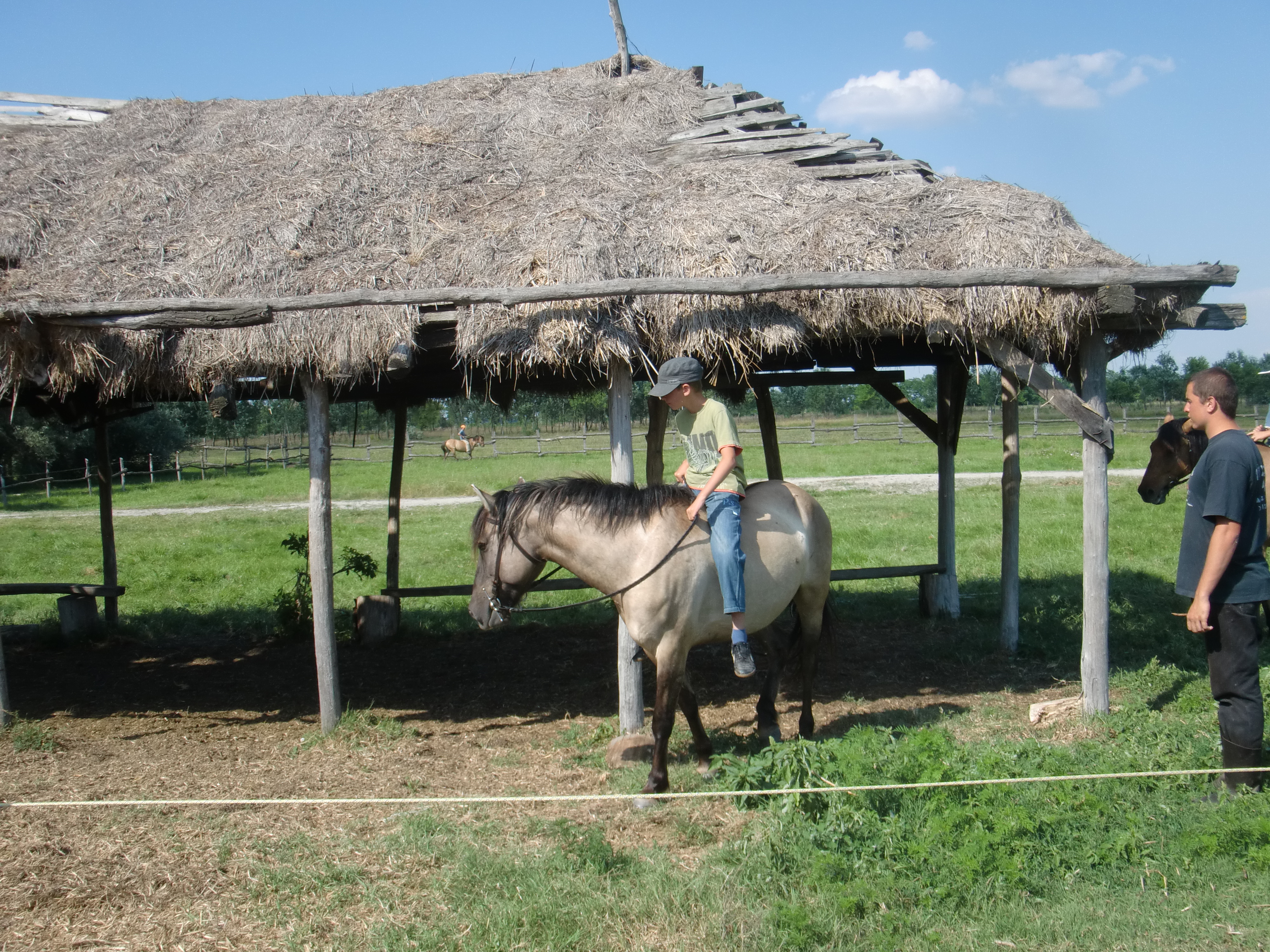 2013 Nyár