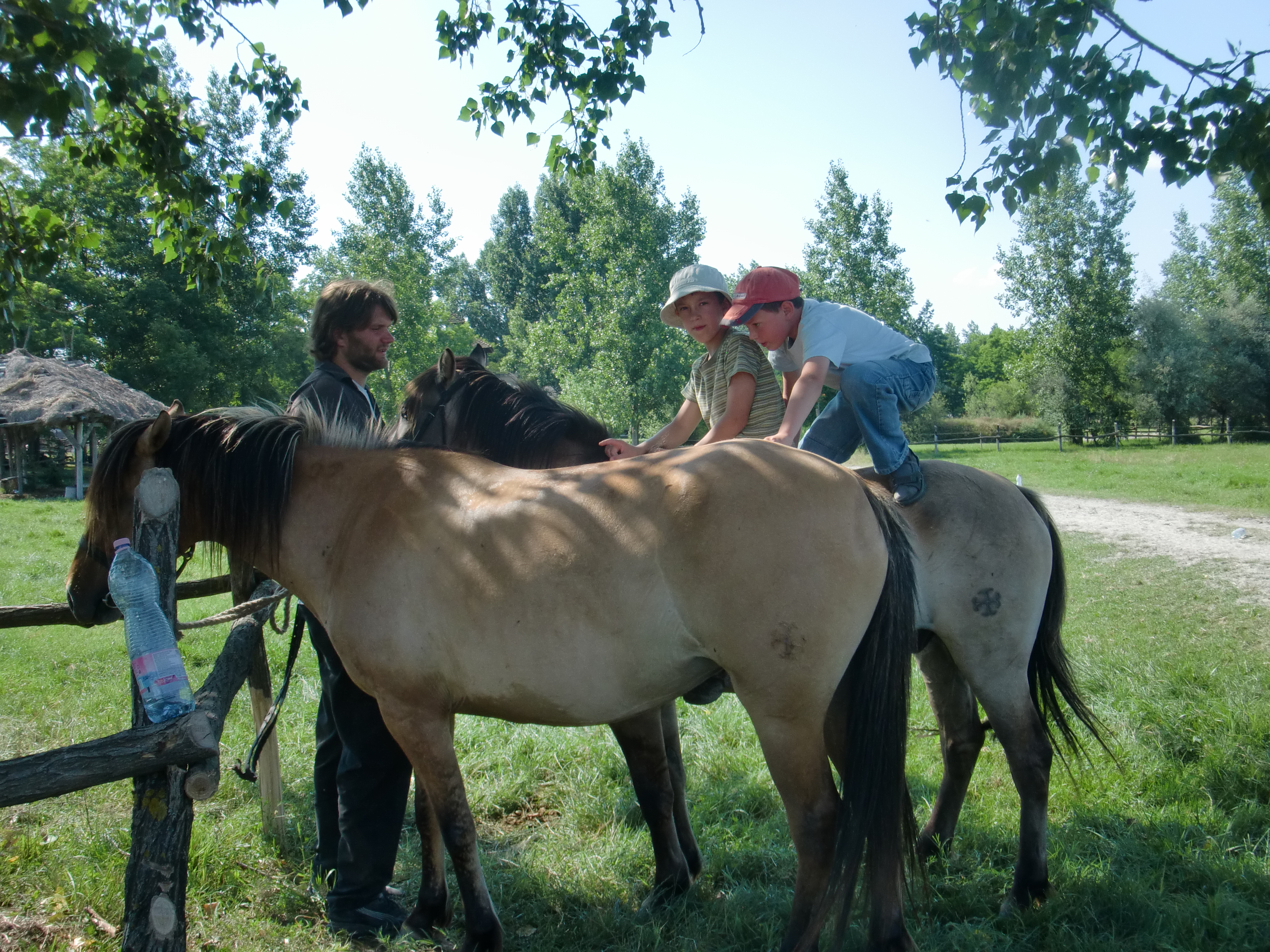 2013 Nyár