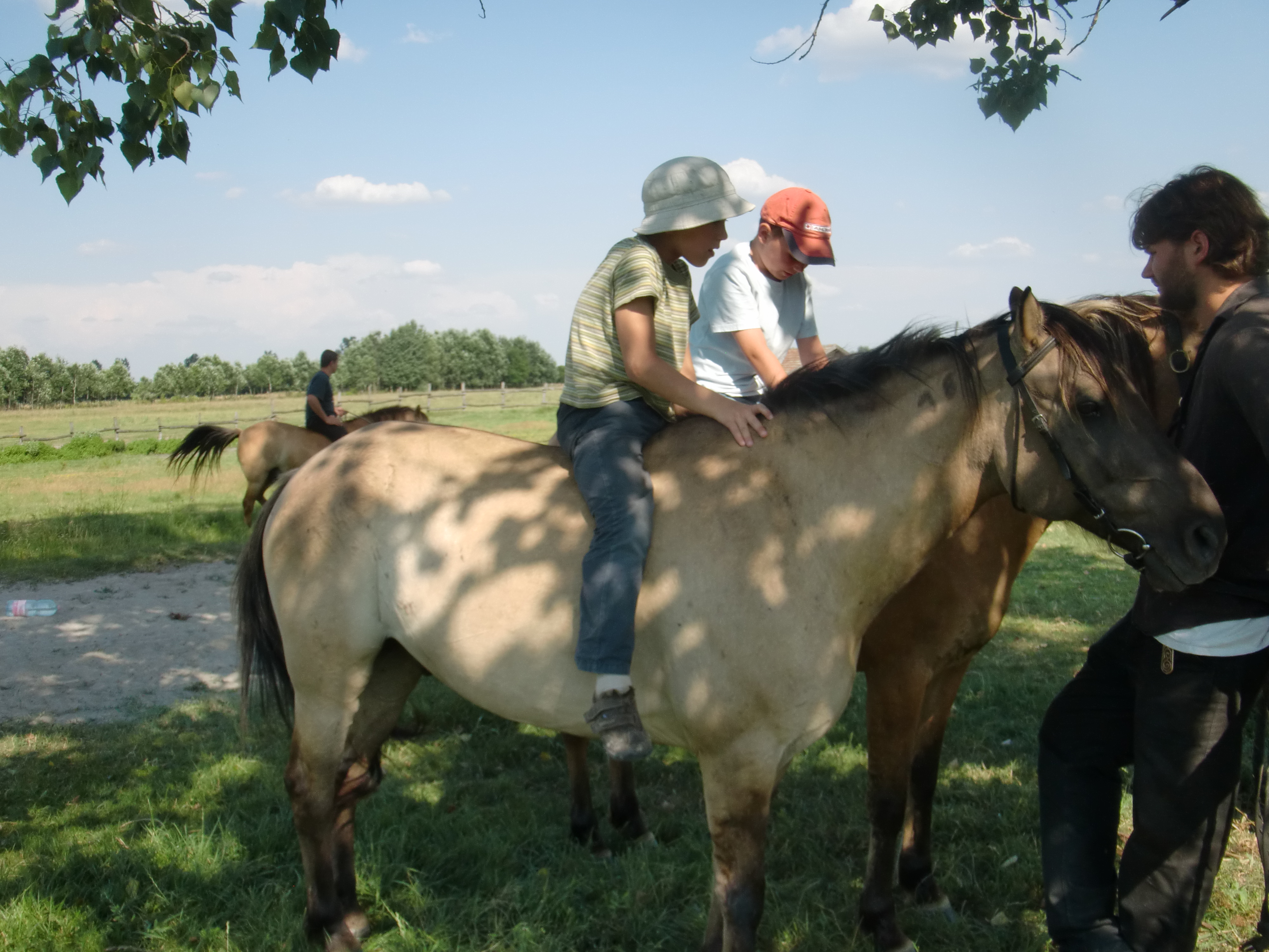 2013 Nyár