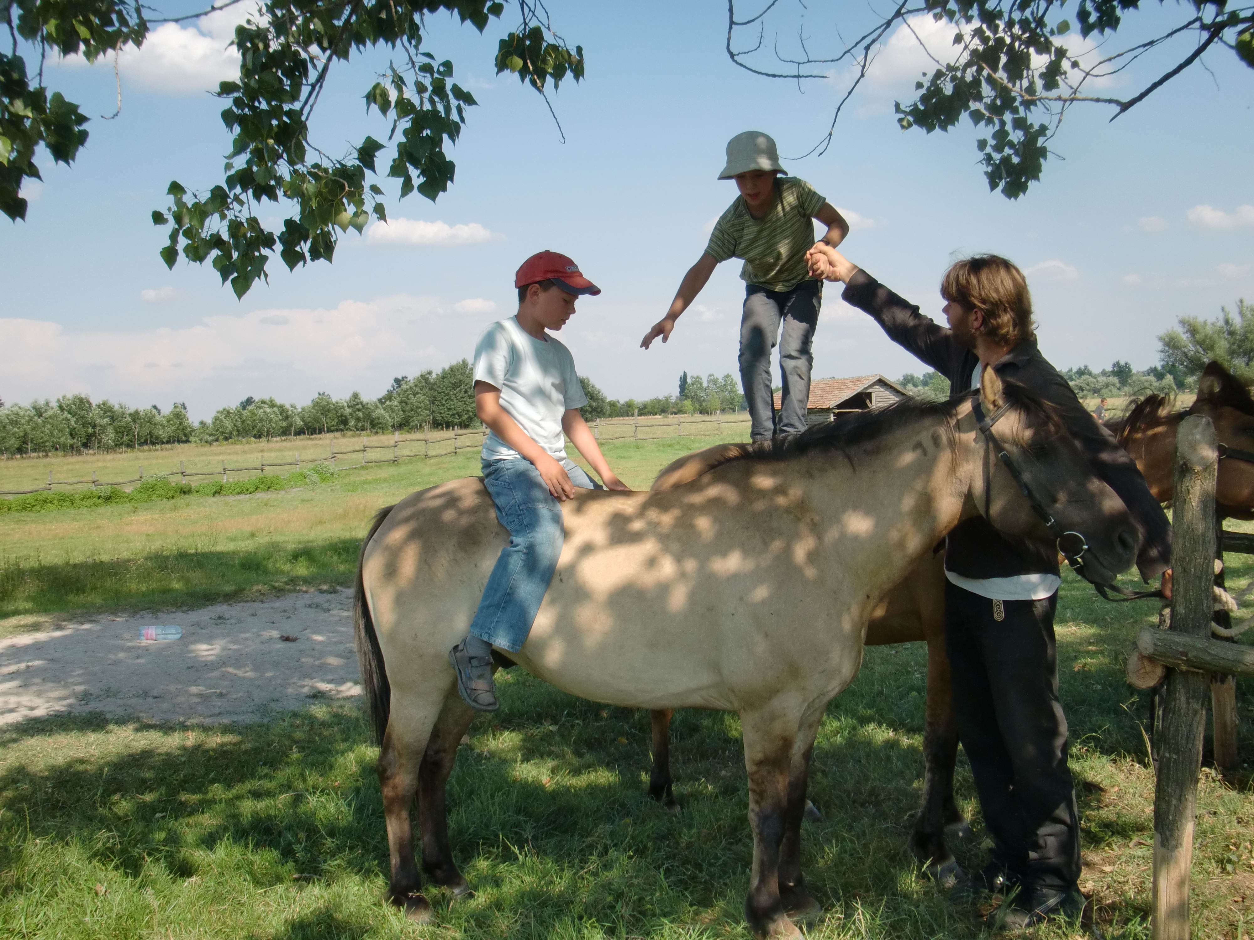 2013 Nyár