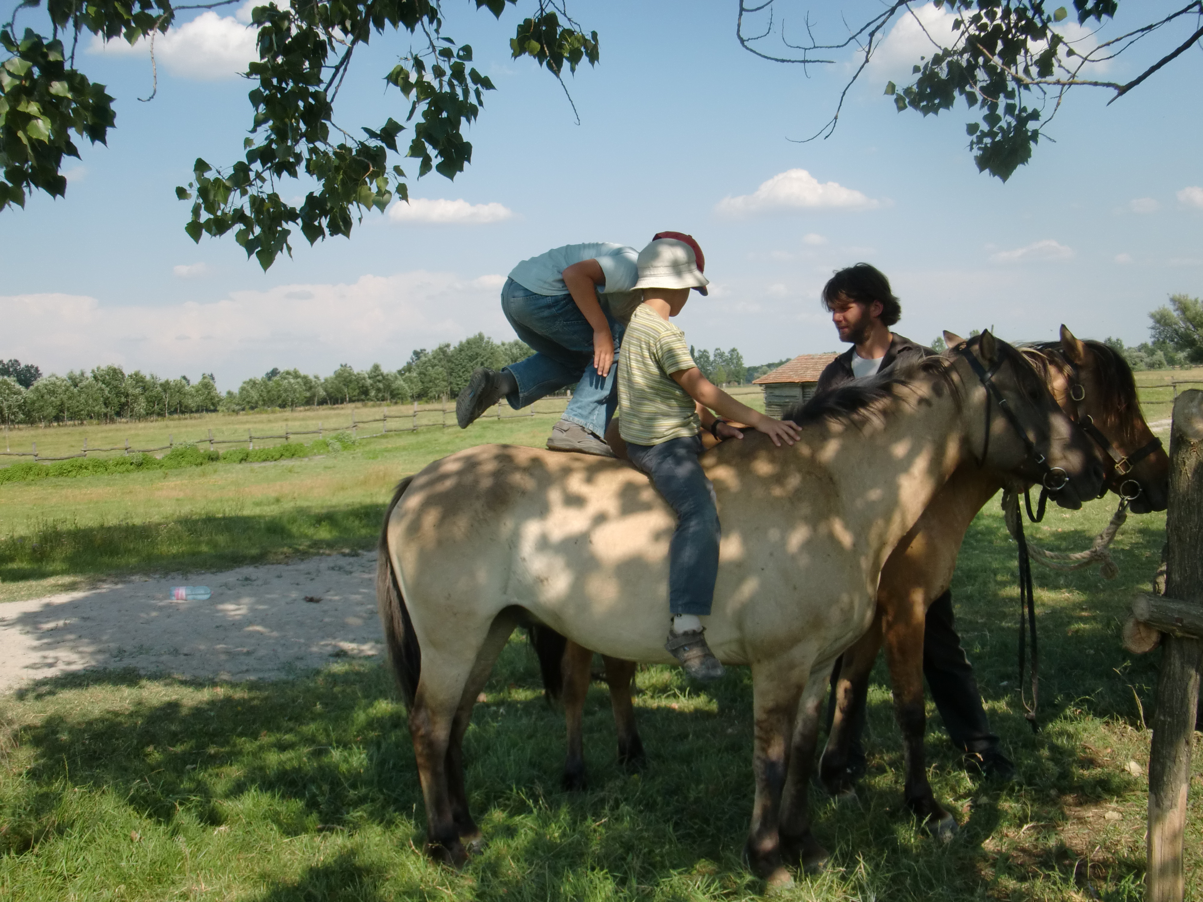 2013 Nyár