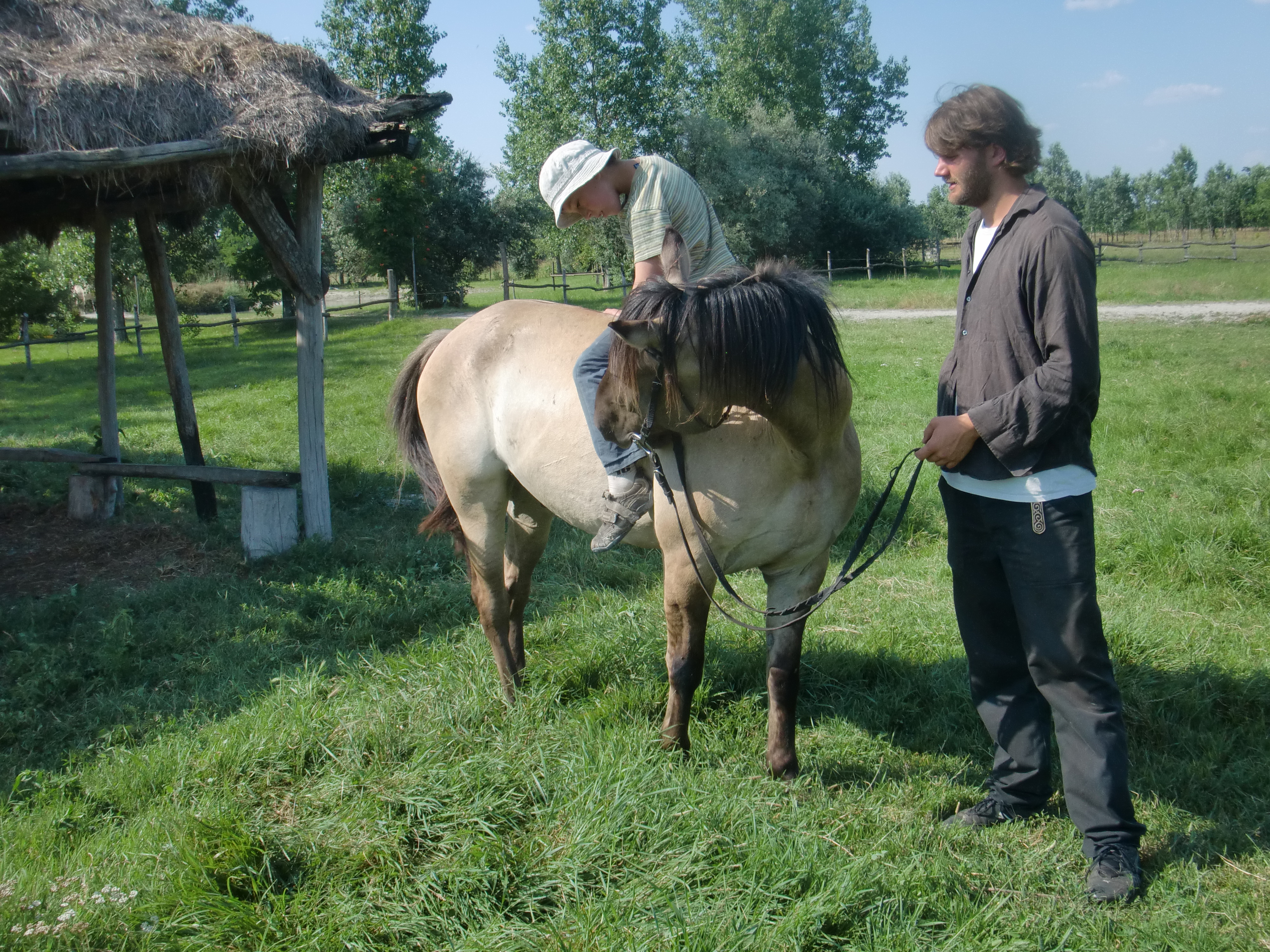 2013 Nyár