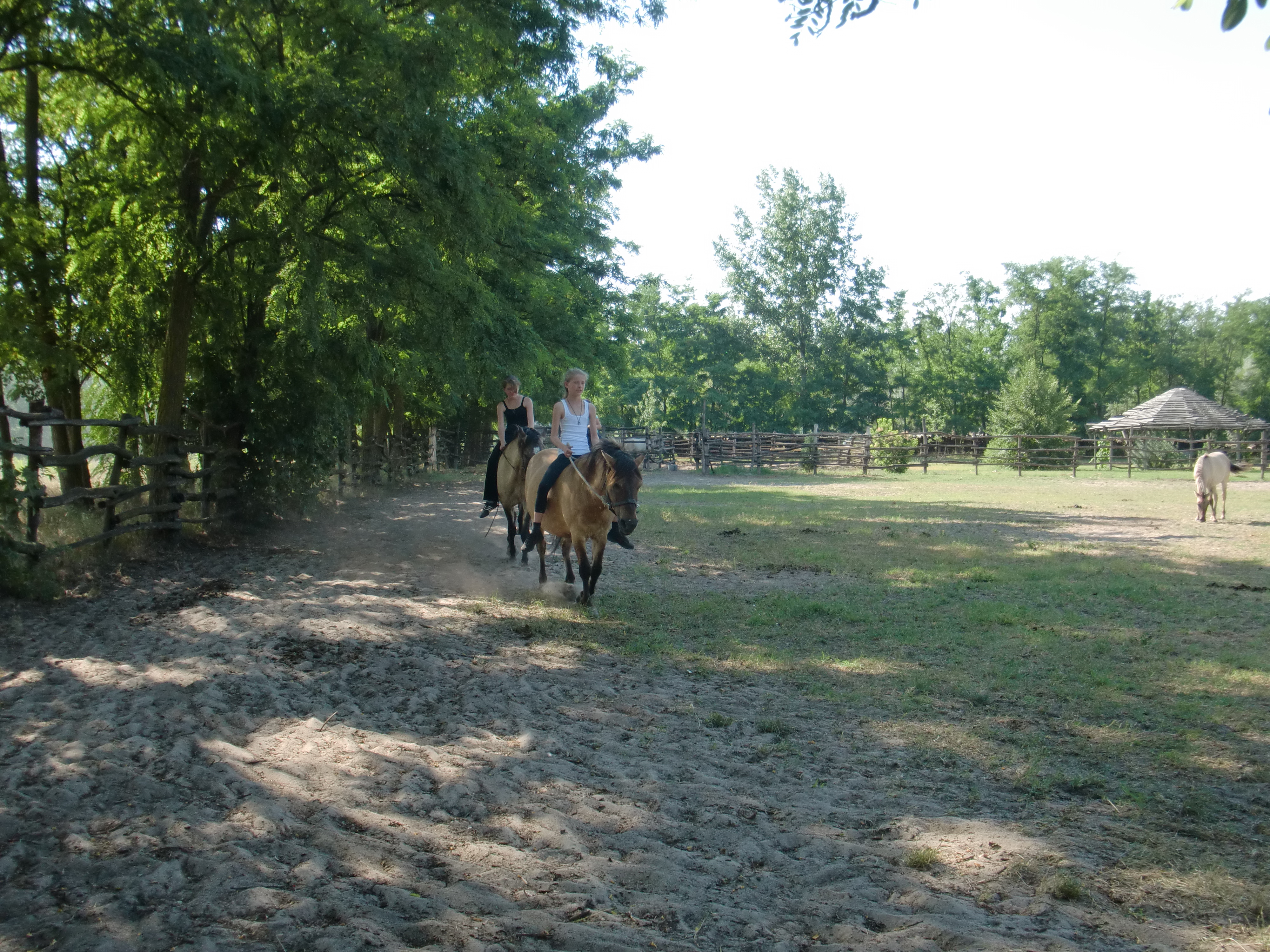 2013 Nyár