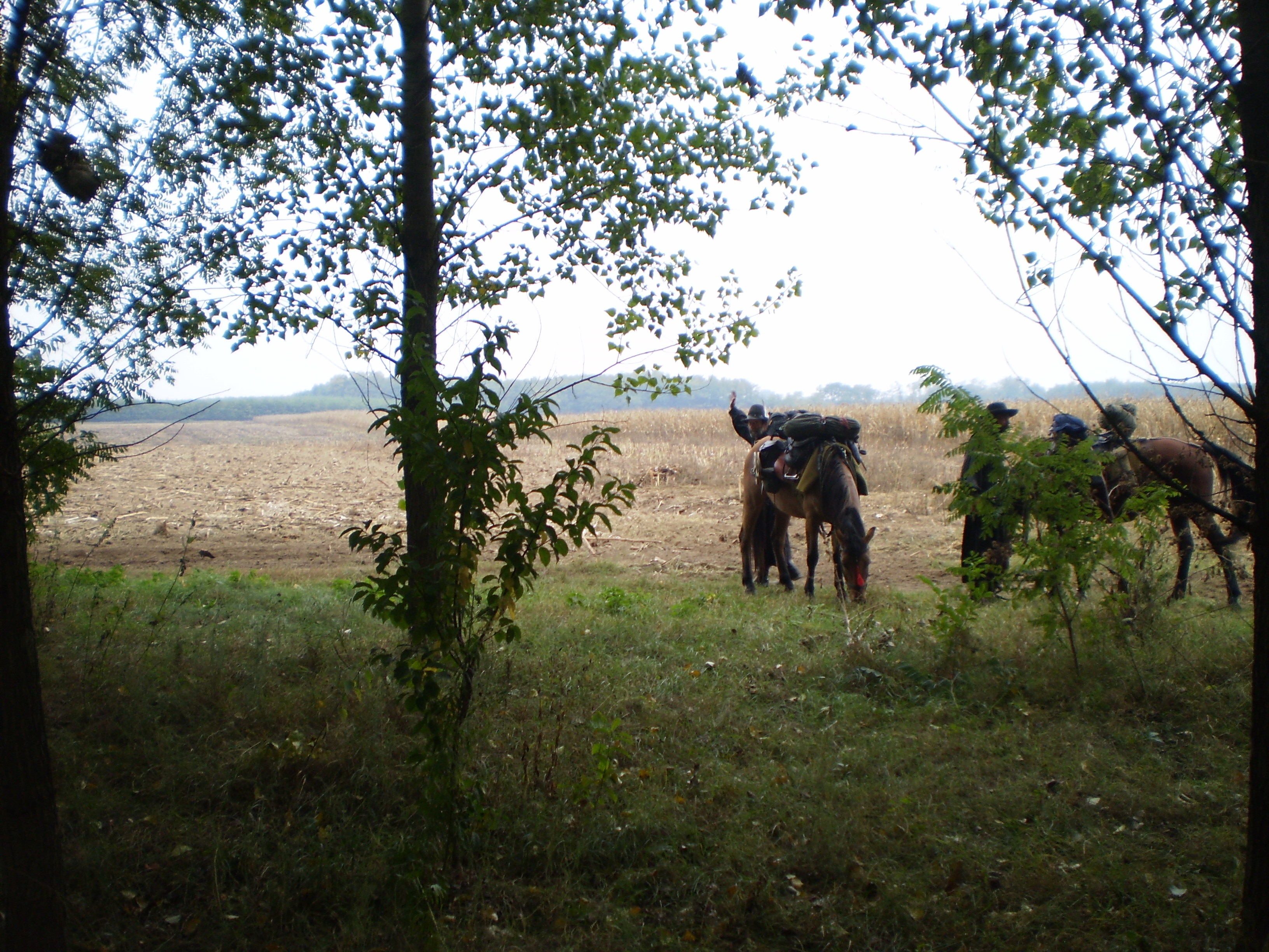2009 Erdélyi túra