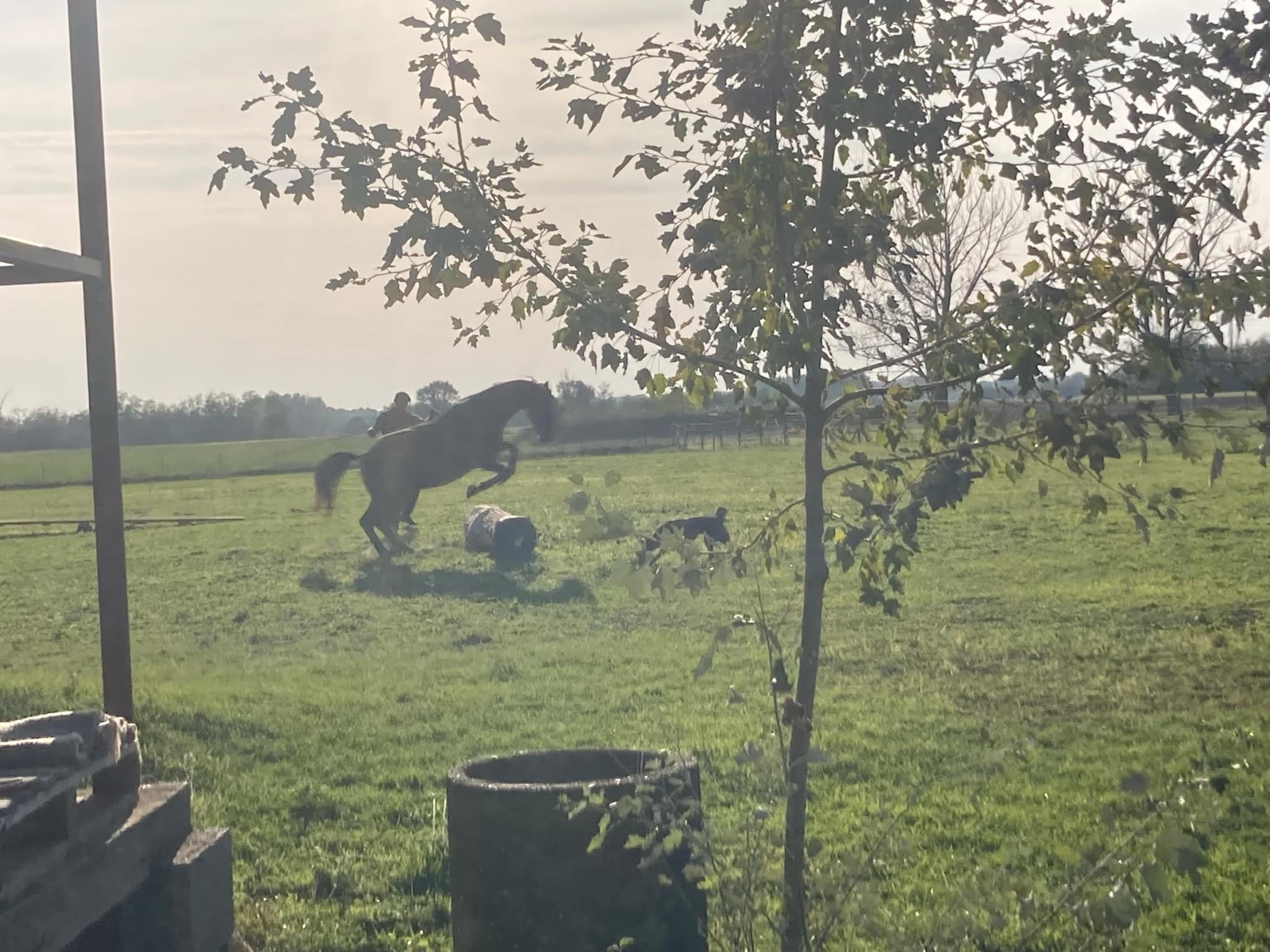 "Fiatal lovam van" - kurzus Zerinváry Szilárdnál